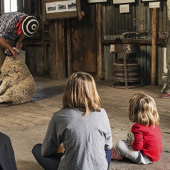 Alternative view of Dia de Campo