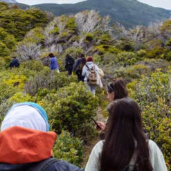 Alternative view of NAVEGACIÓN ISLA REDONDA