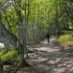 Alternative view of Parque Nacional Tierra del Fuego