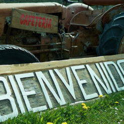 Navegación Pingüinera y Puerto Almanza