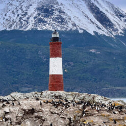 Navegación Faro del Fin del Mundo + Isla Lobos