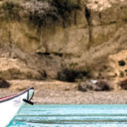 Alternative view of Darwin Experience