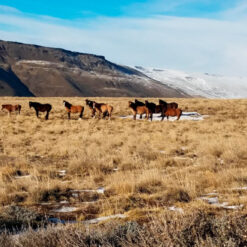 Alternative view of Balcones de Calafate - Full 4x4